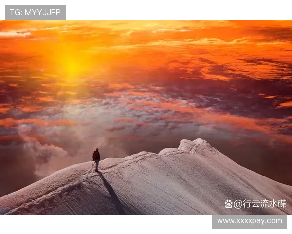 伟大的历程：踏浪前行，铸就非凡