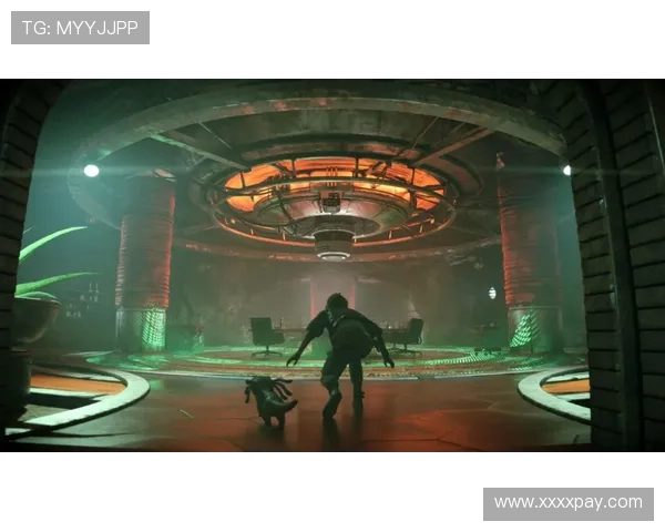 漂泊的灵魂：探寻“无籍者”的生存之道与内心世界